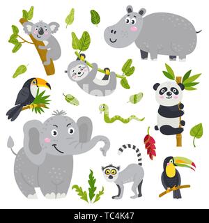 Ensemble de vecteur d'animaux et de plantes de la jungle Illustration de Vecteur