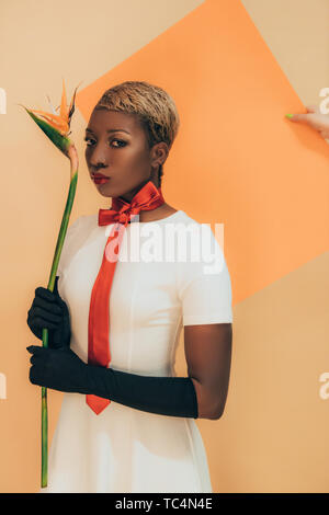 Avec des photos de mode african american woman in black gloves holding Strelitzia flower sur orange et beige Banque D'Images