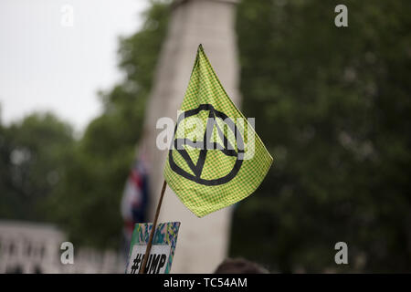 Londres, Royaume-Uni - Juin 4th, 2019 : Extinction des drapeaux de la rébellion à une protestation Banque D'Images