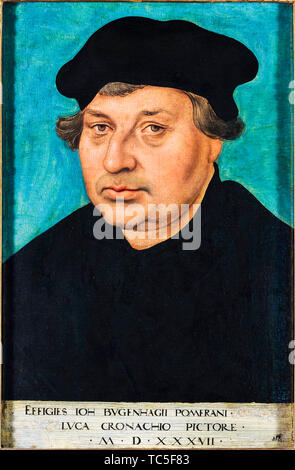 Lucas Cranach le Vieux, Johannes Bugenhagen, 1485 - 1558 portrait, peinture, 1537 Banque D'Images