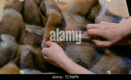 Manteau de fourrure réparation sur mesure Banque D'Images