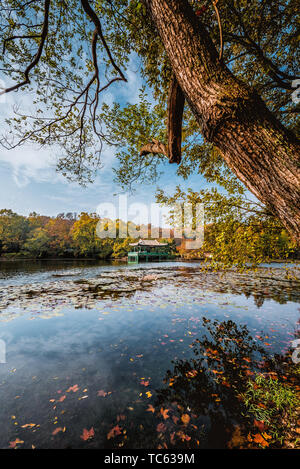 Décor de l'automne de Zhongshan Scenic Area, Shanghai Banque D'Images