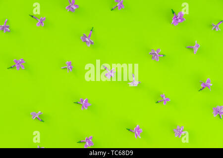Fleurs lilas mise à plat isolé en toile de fond. La décoration florale sur la surface jaune vue d'en haut. Simple et joli papier peint floral minimaliste. Fleurs et bourgeons en fleurs sur fond lumineux et dynamique Banque D'Images
