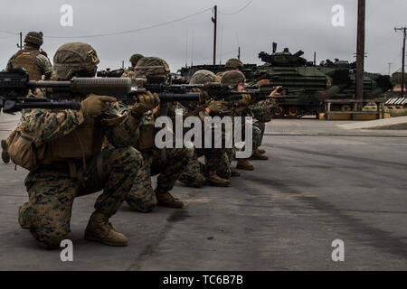 Les Marines américains du 2e Bataillon, 4e, 5e Régiment de Marines Marines, entrent dans une formation pendant une simulation de mise à bord de l'exercice au Del Mar Boat Basin sur Marine Corps Base Camp Pendleton, en Californie, le 4 juin 2019. L'assaut du véhicule amphibie-P7/A1 est utilisé pour fournir le transport de troupes pour les navires et la terre les mouvements. (U.S. Marine Corps photo par Lance Cpl. Alison Dostie) Banque D'Images