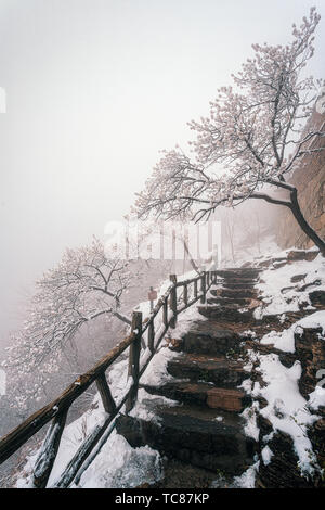 La Grande Muraille de Mutianyu Banque D'Images