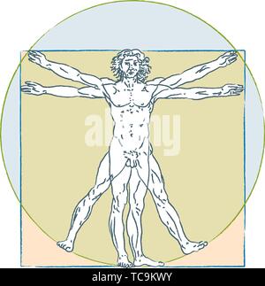 Vector illustration. Homme de Vitruve de Léonard de Vinci. Les proportions du corps humain standard. Illustration de Vecteur