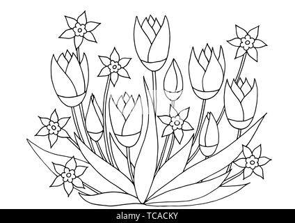 Motifs floraux dessinés à la main, coloriages pour enfants et adultes Illustration de Vecteur