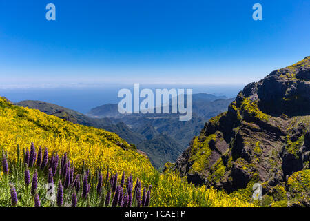 Une vue de 'Pico do Areeiro' à 'chemin de Penha d'Aguia" de montagne, l'île de Madère, Portugal Banque D'Images