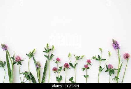 Composition de fleurs. Fleurs d'été sur fond rose pastel. Haut de la vue, télévision lay. Banque D'Images