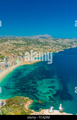 Vue sur la région des appartements et hôtels à Calpe, Alicante, Espagne, et quelques plages du sommet du rocher d'Ifach Banque D'Images