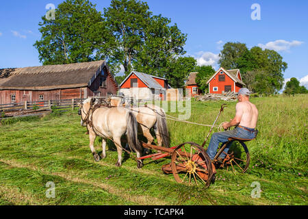 Farmer que conduire une faucheuse à foin avec des chevaux de trait dans une ferme comme l'ancien temps Banque D'Images