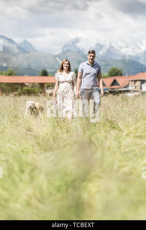 Jeune couple enceinte tenant les mains marchant c'est Golden Retriever chien à l'extérieur dans la prairie. Banque D'Images