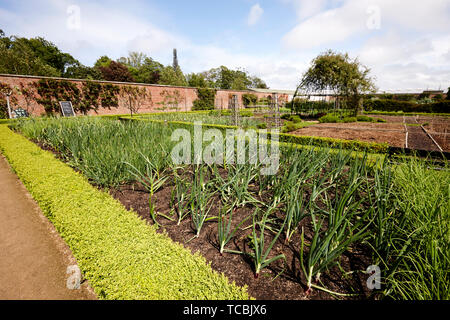 Les potagers à l'époque victorienne Bangor Château jardin clos Banque D'Images