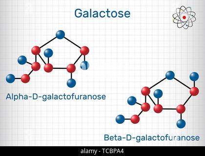 Le galactose, alpha-D- galactofuranose, beta-D- galactofuranose, molécule de sucre de lait. La forme cyclique. Feuille de papier dans une cage. Formule chimique structurels Illustration de Vecteur