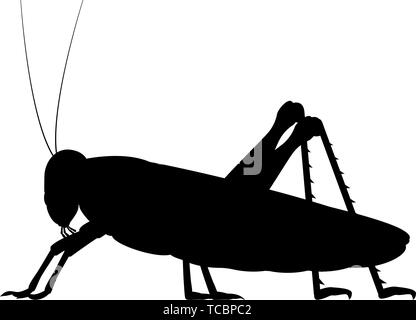 Vector silhouette noire d'une sauterelle Illustration de Vecteur