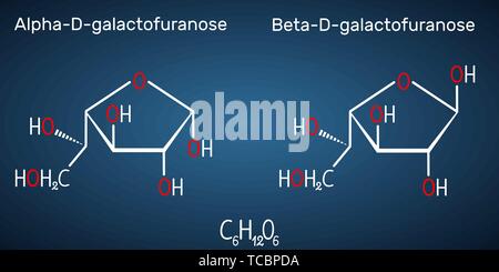 Le galactose, alpha-D- galactofuranose, beta-D- galactofuranose, molécule de sucre de lait. La forme cyclique. Formule chimique structurel sur le bleu foncé backgroun Illustration de Vecteur