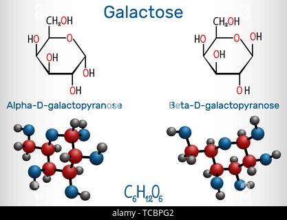 Le galactose, l'alpha-D-galactopyranose, bêta-D-galactopyranose, molécule de sucre de lait. La forme cyclique. Formule chimique structurale et molécule modèle. Je vecteur Illustration de Vecteur