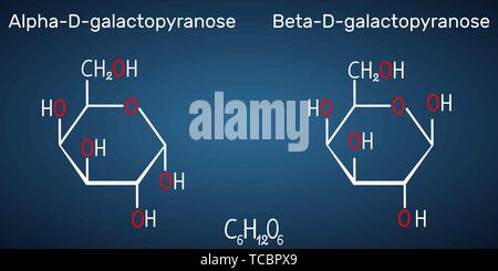 Le galactose, l'alpha-D-galactopyranose, bêta-D-galactopyranose, molécule de sucre de lait. La forme cyclique. Formule chimique structurel sur le fond bleu foncé. Illustration de Vecteur