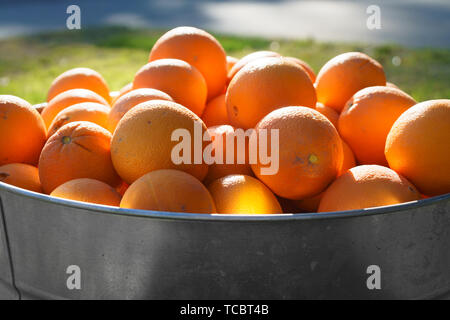 Les oranges de métal galvanisé à remous Banque D'Images