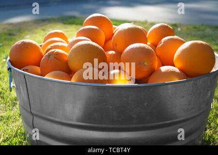 Les oranges de métal galvanisé à remous Banque D'Images