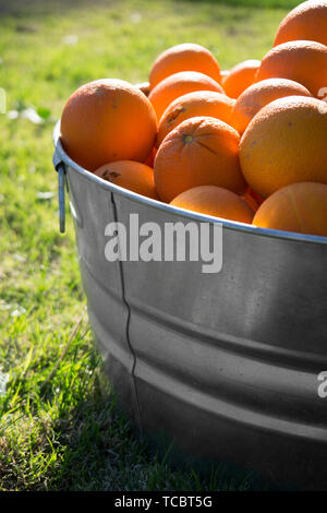 Les oranges de métal galvanisé à remous Banque D'Images