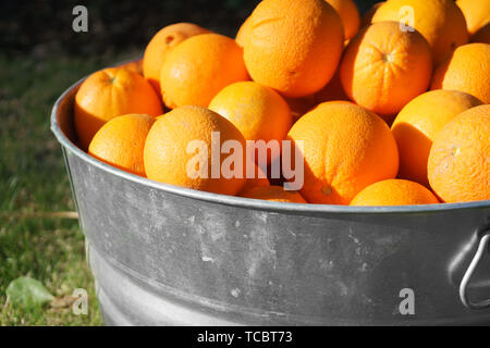Les oranges de métal galvanisé à remous Banque D'Images