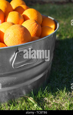 Les oranges de métal galvanisé à remous Banque D'Images