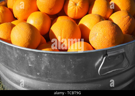 Les oranges de métal galvanisé à remous Banque D'Images