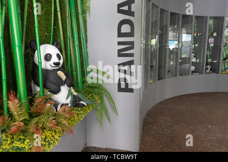 Moscou. 4 juin, 2019. Photo prise le 4 juin 2019 montre le panda house au Zoo de Moscou à Moscou, Russie. Deux pandas géants, trois ans Ru Yi et deux ans, Ding Ding, arrive à Moscou à la fin d'avril de la Chine du sud-ouest de la province du Sichuan. Ils ont été officiellement remises à la Russie pour 15 ans de programme de recherche conjoint mercredi à la cérémonie d'ouverture pour le panda house dans le Zoo de Moscou. Credit : Bai Xueqi/Xinhua/Alamy Live News Banque D'Images