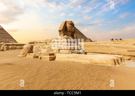 Le grand Sphinx près des pyramides de Gizeh, Egypte.