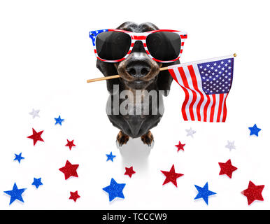 Chien teckel saucisse qui agitait un drapeau d'usa et de la victoire ou de la paix le jour de l'indépendance des doigts 4 juillet avec des lunettes Banque D'Images