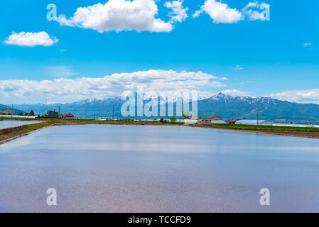 Grand ciel bleu et nuages blancs sur les terres agricoles de riz champ dans une belle journée ensoleillée au printemps. Vue panoramique du paysage rural avec des montagnes. Banque D'Images