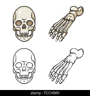 Crâne,foot,la mort,la cheville,sain,monster,le mal,la podologie,horreur,avant-pied,tattoo,panneaux,head,les pieds plats,eye,circulation,l'enfer,dommage,les dents,médecine,clinique,biologie,médical,os,,squelette anatomie,des,organes,,set,icône,,illustration,collection,isolé,design,graphisme,élément,signe, vecteurs vecteur , Illustration de Vecteur