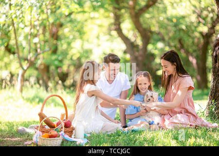 Jeune famille assis sur l'herbe au cours d'un pique-nique dans un parc. Panier avec de délicieux repas, de fruits et de jouets pour les enfants Banque D'Images