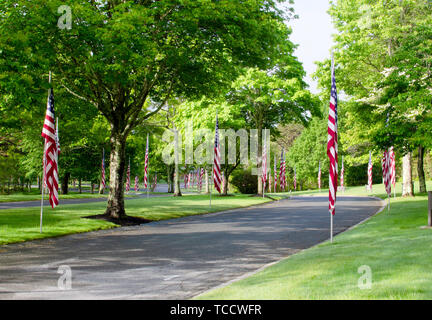Doublure des drapeaux américains à la route du Cimetière national du Massachusetts pour Memorial Day Banque D'Images