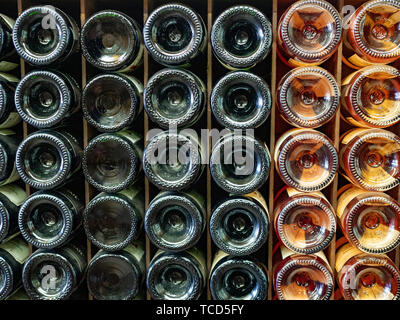 Extrémités de rose, rouge et blanc, assis sur des bouteilles de vin wine rack affiché Banque D'Images