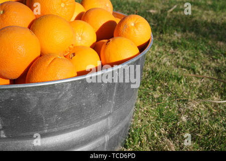 Les oranges de métal galvanisé à remous Banque D'Images