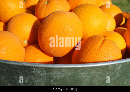 Les oranges de métal galvanisé à remous Banque D'Images