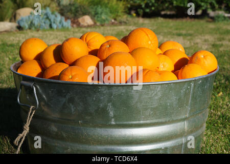Les oranges de métal galvanisé à remous Banque D'Images