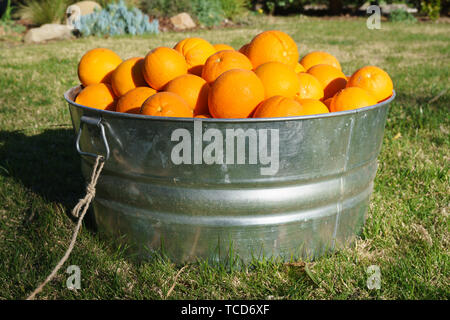 Les oranges de métal galvanisé à remous Banque D'Images