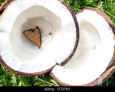 Noix de coco hachée : moitiés de noix de coco en forme de cœur à partir de l'écorce sur une herbe, vue du dessus Banque D'Images