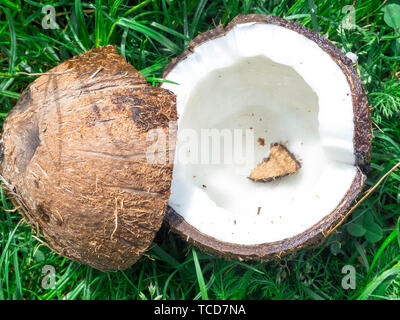 Noix de coco hachée : moitiés de noix de coco en forme de cœur à partir de l'écorce sur une herbe, vue du dessus Banque D'Images