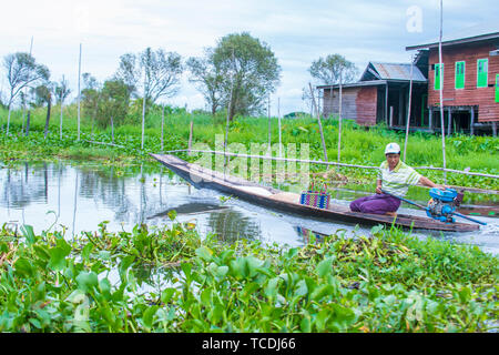 Homme ethnie Intha sur son bateau dans le lac Inle Myanmar le 07 septembre 2017 , Inle Lake est un lac d'eau douce situé dans l'état Shan Banque D'Images