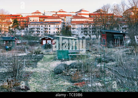 L'aube d'hiver dans les jardins d'attribution Tantolunden, Södermalm, à Stockholm, Suède, Scandinavie Banque D'Images