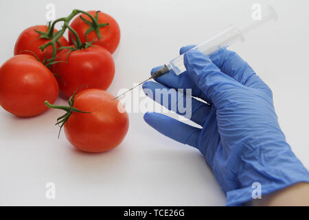 Seringue et les tomates. Spécialiste de l'OGM injecte le liquide d'une seringue dans une tomate rouge. Concept nutritionnel génétiquement modifiés. Banque D'Images