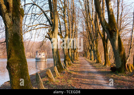 Allée sur le lac, le vieux pont d'observation sur l'étang, l'observation gazebo sur le lac, Kolosovka village, grand étang, région de Kaliningrad, Russie Banque D'Images