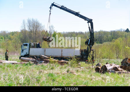 Chargement des grumes sur le chariot, grue de chargement de bois, région de Kaliningrad, Russie, le 1 mai, 2019 Banque D'Images