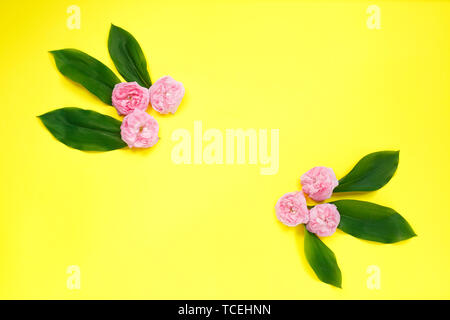 Composition florale lumineuse colorée. Cadre fait de feuilles et fleurs rose rose sur fond jaune. Mise à plat, vue du dessus, copiez l'espace. Banque D'Images