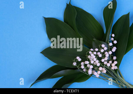 Le muguet dans un vase sur un fond bleu. Le minimalisme de l'art concept. Maison de vacances de lys de la vallée le 1er mai. La tradition française Banque D'Images