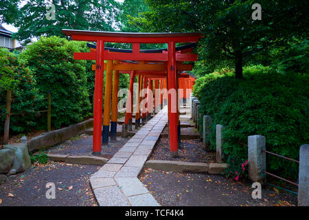 L'impressionnante série de Tori rouge des barrières au sanctuaire Nezu à Tokyo, Japon. Banque D'Images